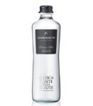 SAN BENEDETTO FRIZZANTE CL 65 x 16