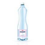 ACQUA SORGESANA LT 1 x 12 (2x6BT)